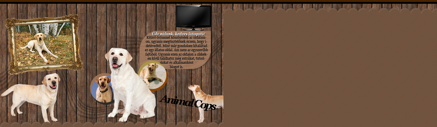 //animalcopshungary.gportal.hu/portal/animalcopshungary/upload/644695_1310394787_04265.png